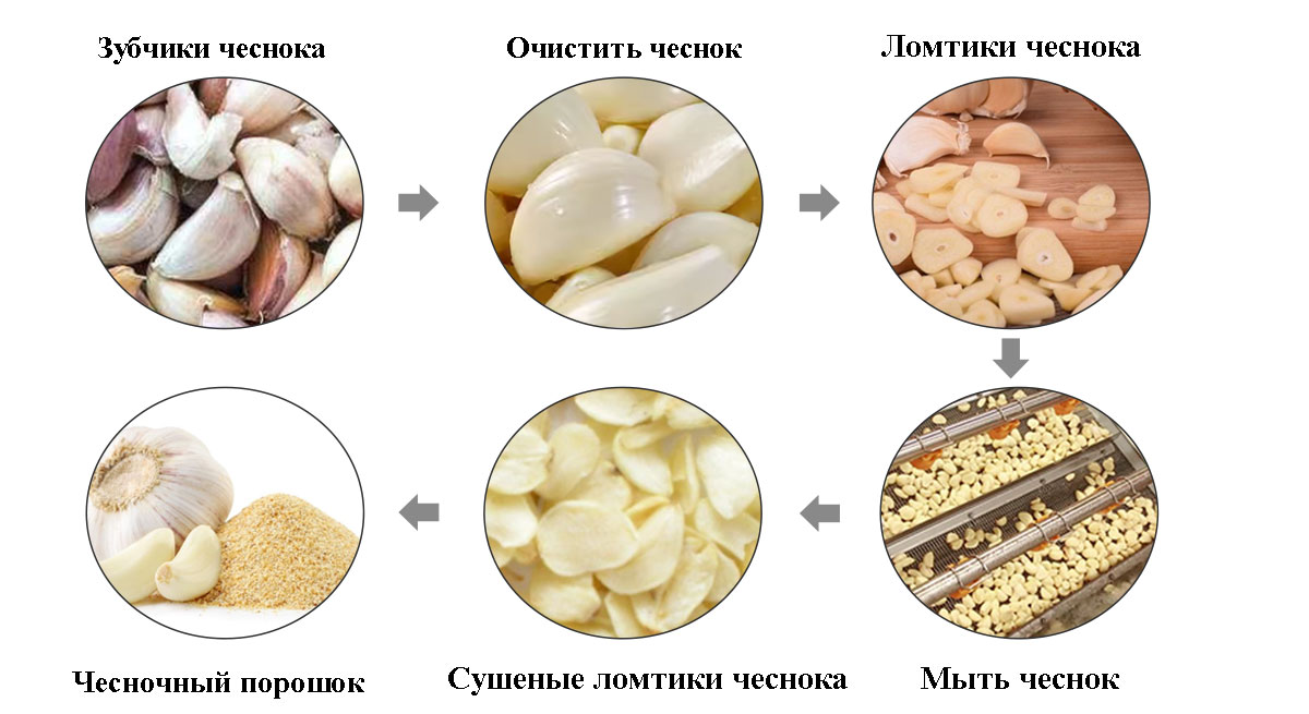 Процесс-чесночного-порошка.jpg